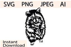 Raccoon Svg/Png/Jpg/Ai/Vector animal/Pet/Cute animal Svg Product Image 1