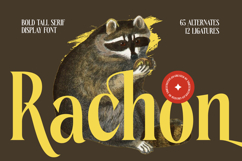 Rachon - Bold Tall Serif Display Font Product Image 1