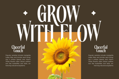 Rachon - Bold Tall Serif Display Font Product Image 3