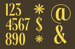 Rachon - Bold Tall Serif Display Font Product Image 5