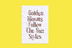 Rachon - Bold Tall Serif Display Font Product Image 12