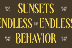 Rachon - Bold Tall Serif Display Font Product Image 15