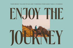 Rachon - Bold Tall Serif Display Font Product Image 16