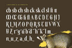 Rachon - Bold Tall Serif Display Font Product Image 18