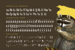 Rachon - Bold Tall Serif Display Font Product Image 19