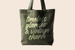 Radella Shathes Bold Calligraphy Font Product Image 12