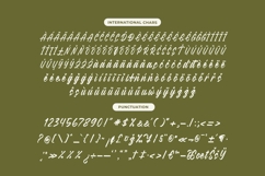 Radella Shathes Bold Calligraphy Font Product Image 14