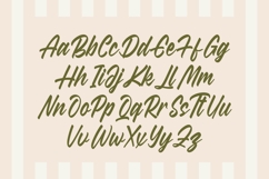 Radella Shathes Bold Calligraphy Font Product Image 9