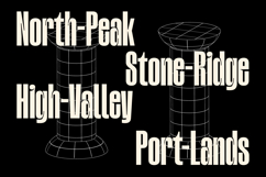 Radiale - Condensed Font Product Image 9