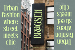 Radiance Beverage - Modern Display Serif Font Product Image 4