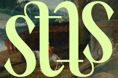 Radiance Beverage - Modern Display Serif Font Product Image 6