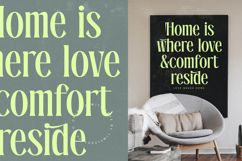 Radiance Beverage - Modern Display Serif Font Product Image 7