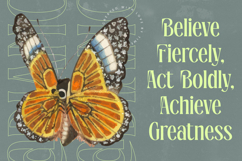 Radiance Beverage - Modern Display Serif Font Product Image 10