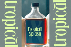 Radiance Beverage - Modern Display Serif Font Product Image 12