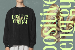 Radiance Beverage - Modern Display Serif Font Product Image 15