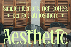 Radiance Beverage - Modern Display Serif Font Product Image 16