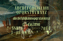 Radiance Beverage - Modern Display Serif Font Product Image 18