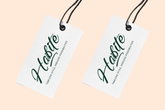 Radiate Yethina - Modern Script Font Product Image 8