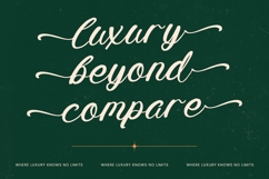 Radiate Yethina - Modern Script Font Product Image 9