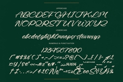 Radiate Yethina - Modern Script Font Product Image 18