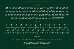 Radiate Yethina - Modern Script Font Product Image 19