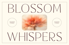 Rafbela Egitha - Elegant Sans Serif Display Product Image 3