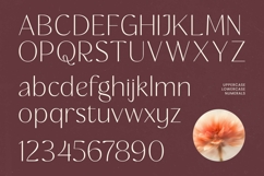 Rafbela Egitha - Elegant Sans Serif Display Product Image 17