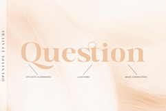 Raflera | A Modern Classy Serif Font Product Image 9