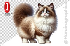 Ragdoll Cat Clipart - PNG File Product Image 1