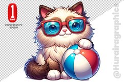 Ragdoll Cat Clipart - PNG File Product Image 1