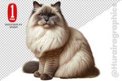 Ragdoll Cat Clipart - PNG File Product Image 1