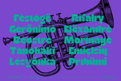 Ragikon - Modern Bold Logo Friendly Display Font Product Image 12