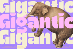 Ragikon - Modern Bold Logo Friendly Display Font Product Image 3