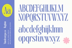 Ragitan - Bold Tall Serif Display Product Image 9