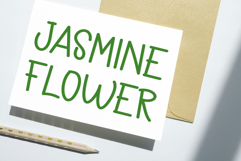 Rain Forest Product Image 6