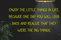 Rain Forest Product Image 4