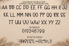 Rain Forest Product Image 7