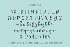 Raintree Script Product Image 10