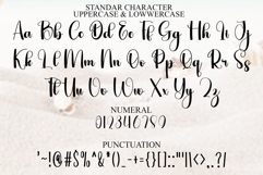 Rainwanter Product Image 2