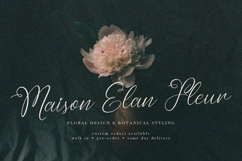 Raisahren | Calligraphy Chic Font Product Image 4