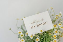 Raisahren | Calligraphy Chic Font Product Image 6