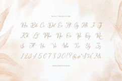 Raisahren | Calligraphy Chic Font Product Image 10
