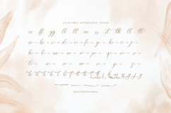 Raisahren | Calligraphy Chic Font Product Image 12