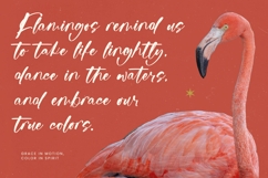 Raituly Chant - Modern Handwritten Font Product Image 16