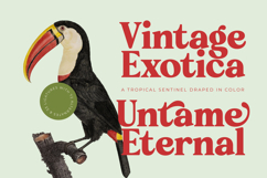 Rakuy Magist - Modern Retro Stylish Product Image 5