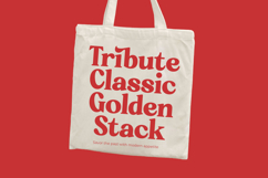 Rakuy Magist - Modern Retro Stylish Product Image 16