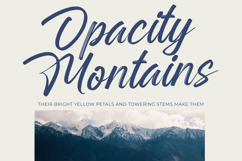 Rangdak Morattes Bold Brush Type Font Product Image 11