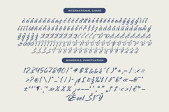Rangdak Morattes Bold Brush Type Font Product Image 19