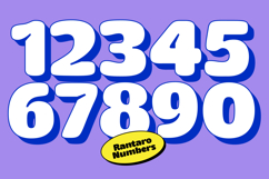 Rantaro Grotesk - Bold Font Product Image 6