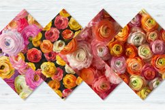 Ranunculus Flowers Digital Paper Bundle Product Image 5
